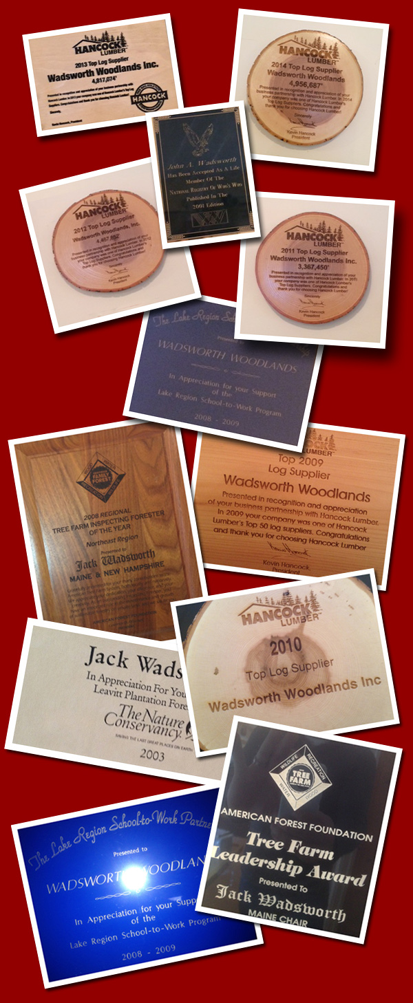 awards and accolades