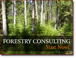 Forestry Consulting